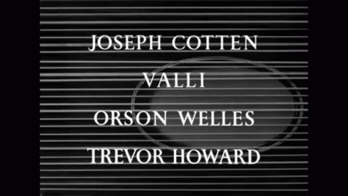 The Third Man 3rd Man GIF