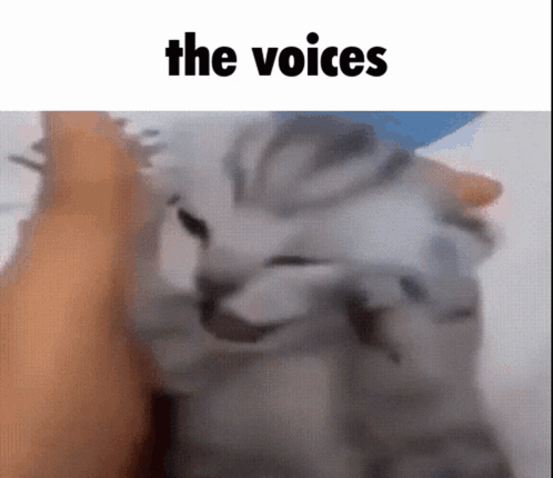The Voices Cat GIF