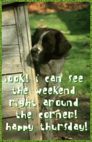 The Weeknd The Weekend Is Here GIF
