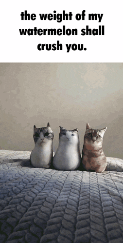 The Weight The Weight Of My GIF