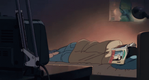 The Wind Rises Anime GIF