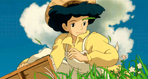 The Wind Rises Naoko GIF