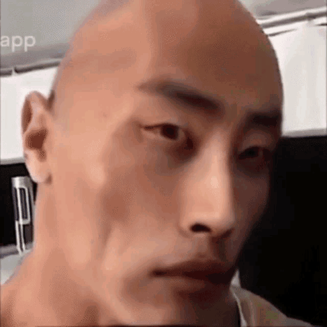 The Wok The Rock GIF