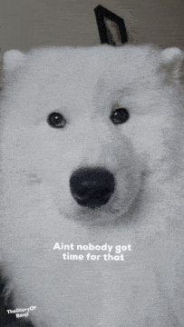Thediaryofbenji Benjidehond GIF