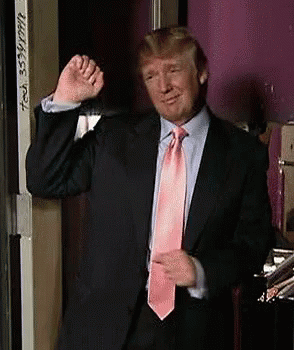 Thedonald Trump GIF. This 294 x 350 animated GIF is part of our hulk trump collection. Related themes include trump. Created by andrewparvin. View the…