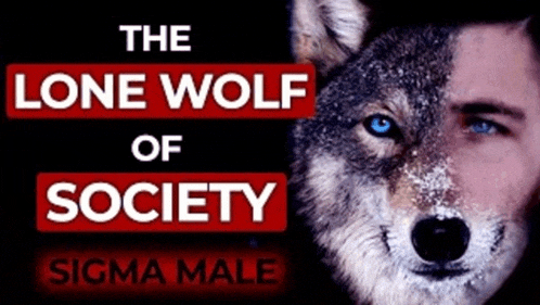 Thelonewolfofsocietysigmamale Meme