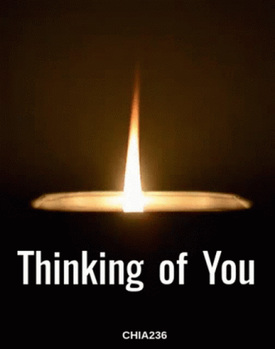 Thinking Of You Chia236 GIF
