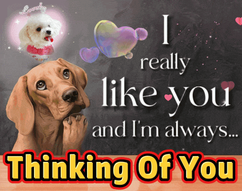 Thinking Of You Thinking About You GIF