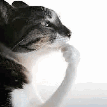 Thinking Pondering GIF