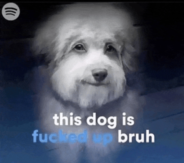 This Dog Weird Meme