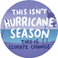 This Is Climate Change Rain Sticker