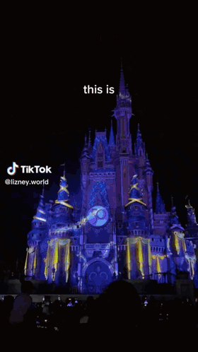 This Is Disney This Is Disney World GIF