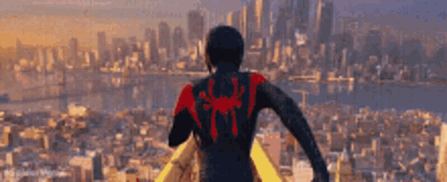 Thismuch Bernie GIF