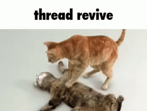 Thread Revive Discord GIF