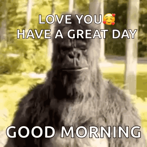 Thumbs Up Dance GIF. This 498 x 498 animated GIF is part of our honey youve got a big storm coming collection. Related themes include dance, monkey, thumbs…