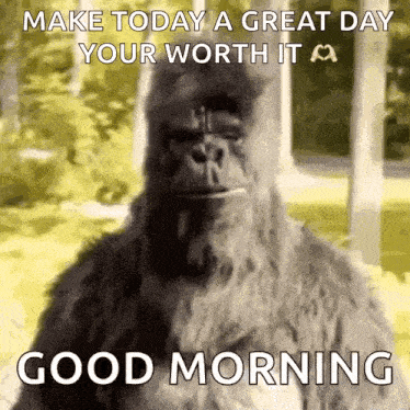 Thumbs Up Dance GIF