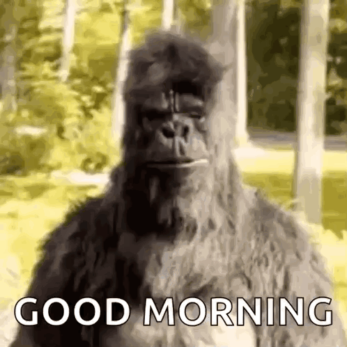 Thumbs Up Dance GIF
