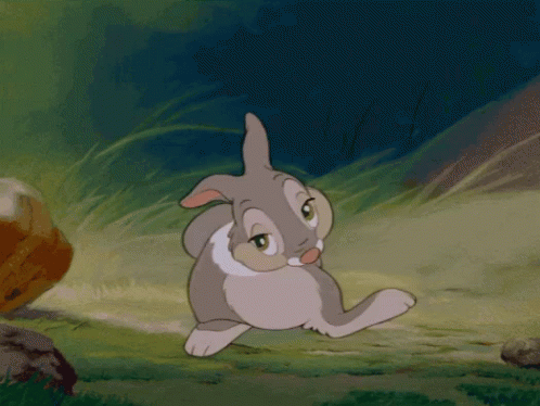 Thumper Bambi GIF. This 498 x 374 animated GIF is part of our tambor bambi collection. Related themes include bunny, rabbit. Created by cali7. View the…