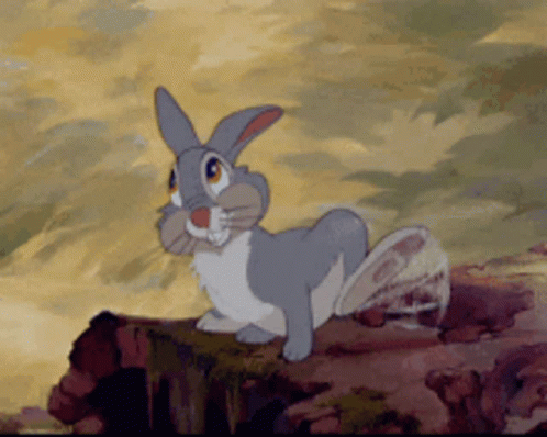 Thumper Bambi GIF. This 498 x 398 animated GIF is part of our tambor bambi collection. Related themes include rabbit. Created by andreagan311. View the…
