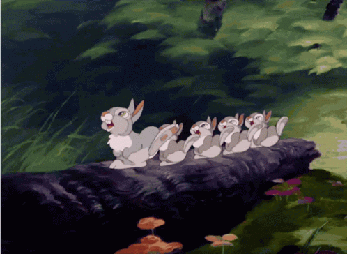 Thumper Bunny GIF. This 498 x 364 animated GIF is part of our tambor bambi collection. Related themes include bunny, cute, disney. Created by donnalme. View…