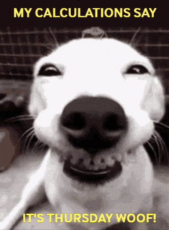 Thursday Friday Eve GIF