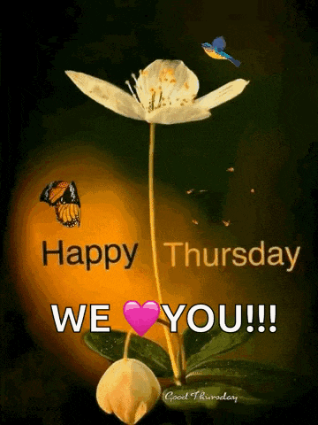 Thursday Morning GIF