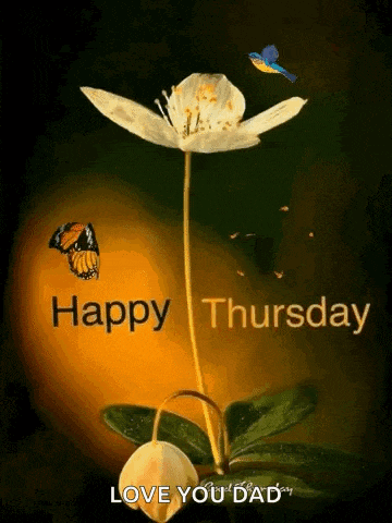 Thursday Morning GIF