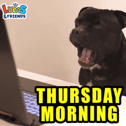 Thursday Thursdays GIF