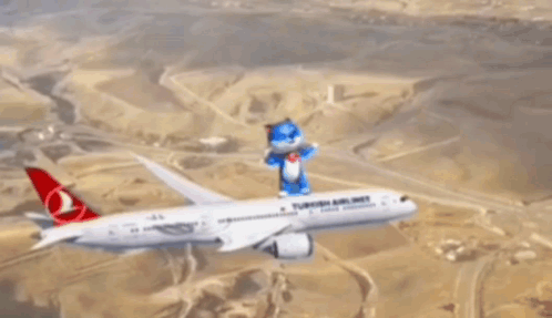 Thy Plane Airplane Sky Fly Vinu Vitainu Vitainucoin Altcoin GIF