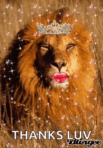 Tiger King GIF