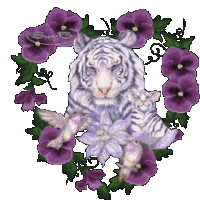 Tiger Purple Tiger Sticker