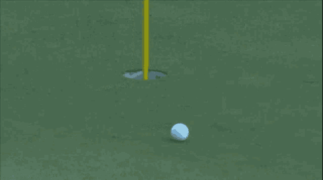 Tiger Woods GIF