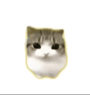 Tiktok Didi GIF