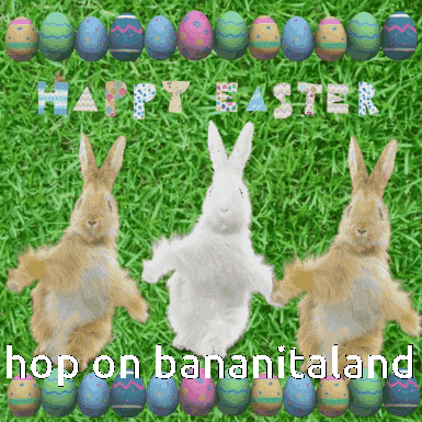 Tilin House Rabbit GIF