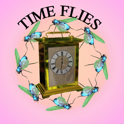 Time Flies Time Goes Quickly GIF