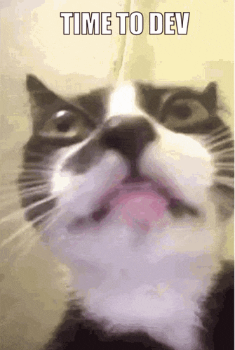 Time To Dev Cat GIF