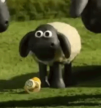 Timmy Shaun The Sheep GIF