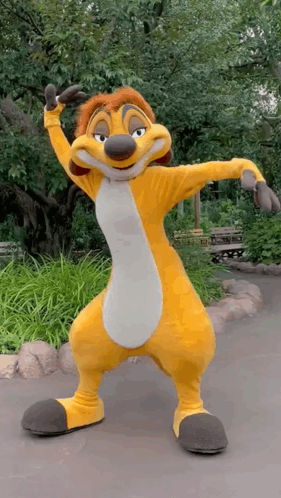 Timon Disneyland GIF