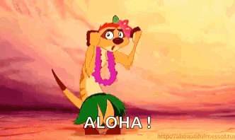 Timon Hula GIF