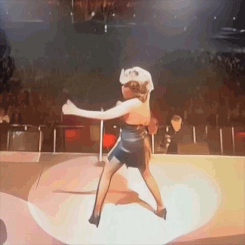 Tina Tina Turner GIF