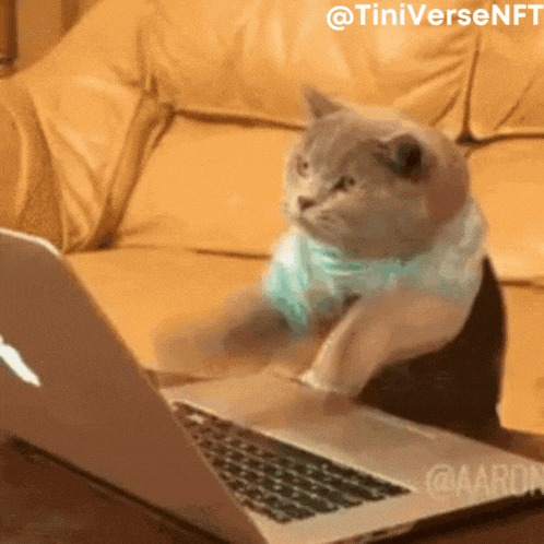 Tinyverse Tinyversenft GIF