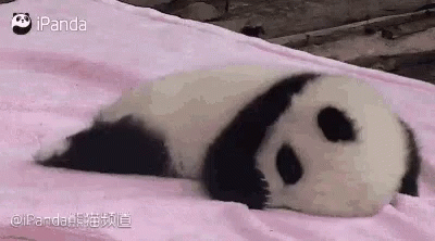 Tired Im GIF
