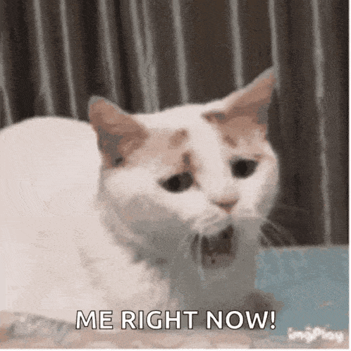 Tired Sleepy GIF