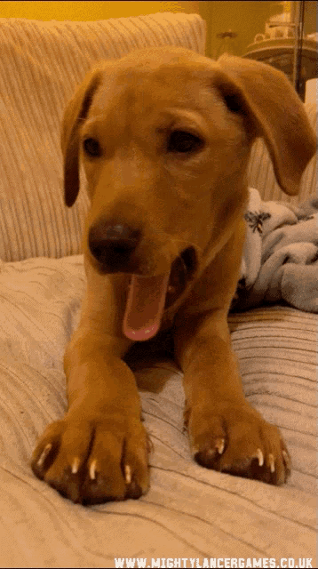 Tired Yawn GIF