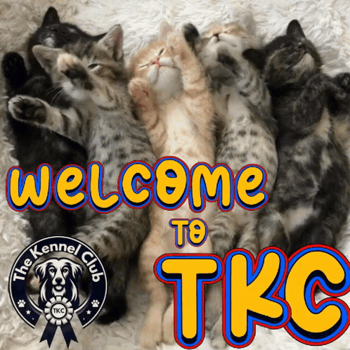 Tkc Welcome The Kennel Club Welcome GIF
