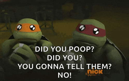 Tmnt Ninja GIF