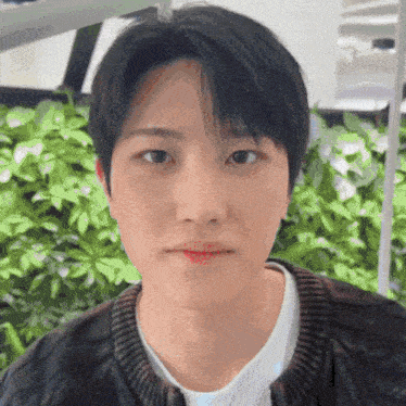 Tnx The New Six GIF