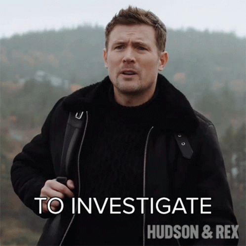To Investigate Charlie Hudson GIF