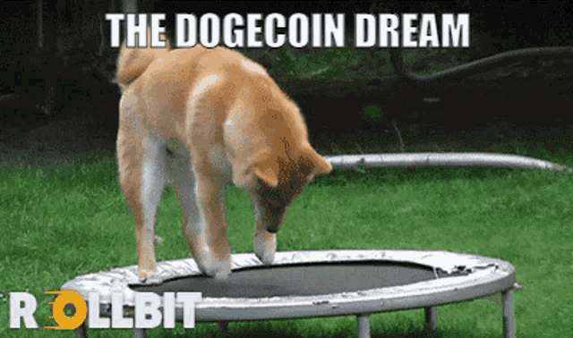 To The Moon Crypto GIF