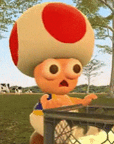Toad What GIF. This 393 x 498 animated GIF is part of our toad screaming collection. Related themes include what. Created by JimMaster1. View the original…